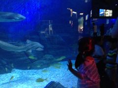 -烟台海昌鲸鲨海洋公园