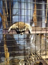 -酷嗒动物文化乐园(cutezoo西溪乐天城店)