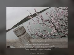 -颐和园