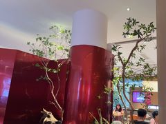 -老板恋上鱼(恒隆广场店)