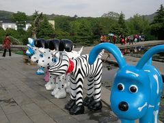 -白马涧龙池景区
