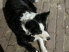 -哈尔滨北方国际青年旅舍(中央大街店)