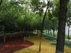 -大兴滨河森林公园