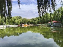 -丰台花园