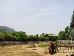 -西安秦岭野生动物园