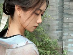 -北京国子监胡同