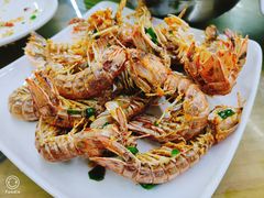 椒盐濑尿虾-明记海鲜大排档(巽寮湾店)