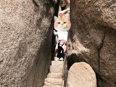 -崂山仰口游览区