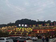 -枇杷园食为鲜火锅(南山店)