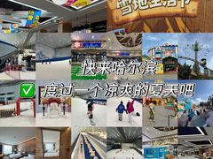 -哈尔滨热雪奇迹