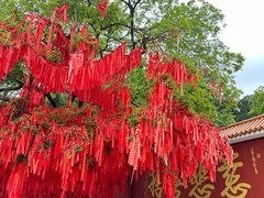 -广州莲花山旅游区