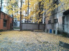 -四川大学(望江校区)