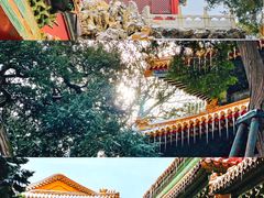 -故宫博物院(故宫)