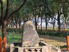 -莲花岛景区
