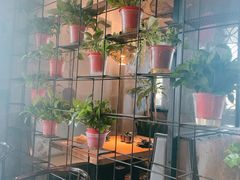 -扬州狮子楼·非遗淮扬菜(东关街店)