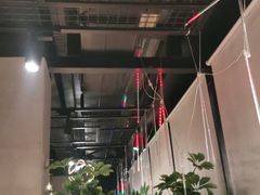 -刘成杰锦州烧烤(南河路店)