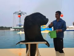 -秦皇岛乐岛海洋王国