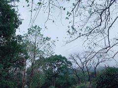 -庐山风景名胜区