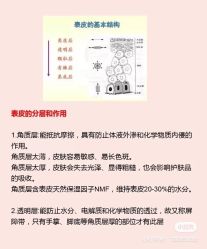 -海茱雅科技健康美容