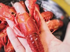 -洪福龙虾