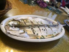 -呼吸森林·生态农庄农家乐私房菜