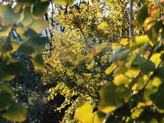 -莆田南少林寺