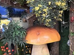-菌彩云南野生菌火锅(呈贡七彩云南第壹城店)
