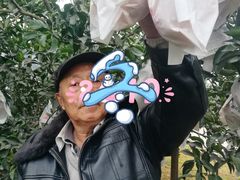 -保利石象湖景区
