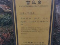 -大连金石滩绿发温泉假日酒店