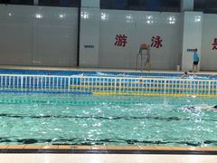 -定安游泳馆