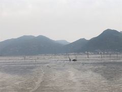 -北岐滩涂