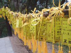 -黄帝陵