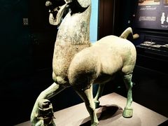 -广西壮族自治区博物馆