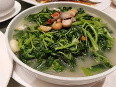 -龙悦湾酒家·八阵鱼生·渔人码头店