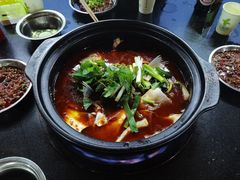 -老杨砂锅鱼庄
