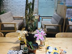 -藏猫猫咖啡主题馆(中央大道店)