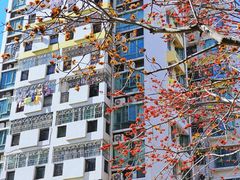 -深圳国际园林花卉博览园