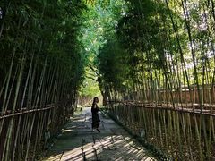 -新荣记(西溪湿地店)