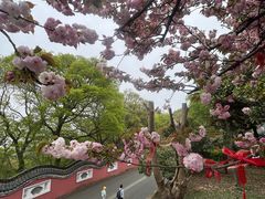 -句容茅山景区