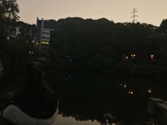 -忠山公园