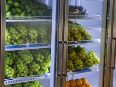 -雾与山茶(大禹城店)