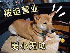 -柚下次·关东煮