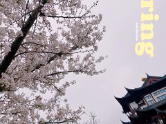 -梅龙湖