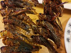 -龚海宝· 烧烤· 羊肉原切挂糊更好吃(庄市店)