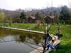 -我家农庄
