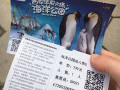 -华夏文旅海洋公园