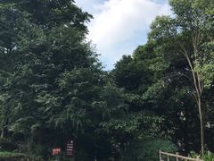-成都市活水公园