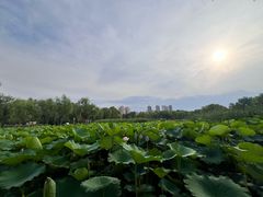 -太阳宫公园