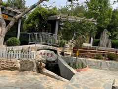 -太阳宫公园