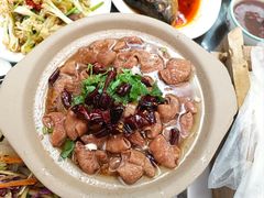 -春满园生态餐厅(南宫路店)